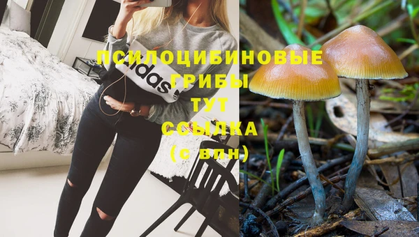 ГАЛЛЮЦИНОГЕННЫЕ ГРИБЫ Беломорск