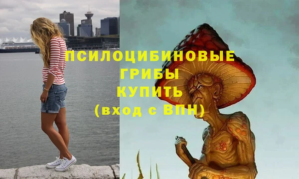 твердый Белокуриха